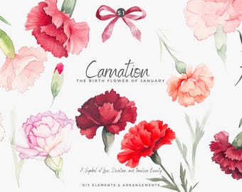 carnation clipart png, watercolor red pink flowers, floral bouquet & frame, digital download, wedding invitation clip art, commercial usee