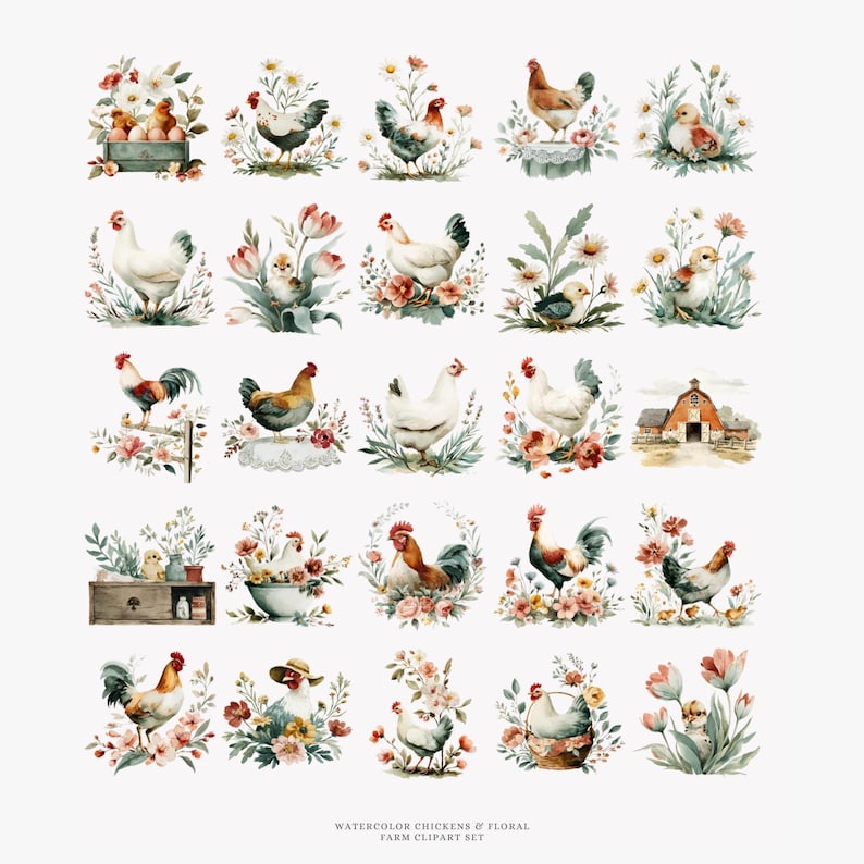 Farm Chicken Clipart Bundle Png, Watercolor Rooster Hen Chicks ...