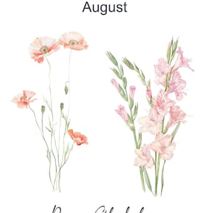 May include: Watercolor illustration of pink and white gladiolus flowers and orange poppy flowers with the text "August" and "Poppy Gladiolus" and the words "High Resolution 300 DPI".