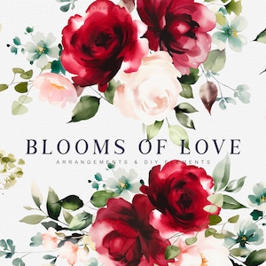 Puede incluir: Pintura de acuarela de un ramo de rosas rojas y blancas con hojas verdes y una libélula. El texto "BLOOMS OF LOVE" está escrito en azul oscuro debajo de las flores. El texto "ARRANGEMENTS & DIY ELEMENTS" está escrito en una fuente más pequeña debajo de la primera línea de texto.