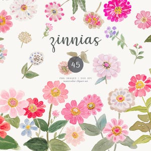 Zinnias coloridas - flores de acuarela - diseños florales - clipart de zinnias - pétalos vibrantes - detalles de boda - flores artísticas - proyectos de bricolaje
