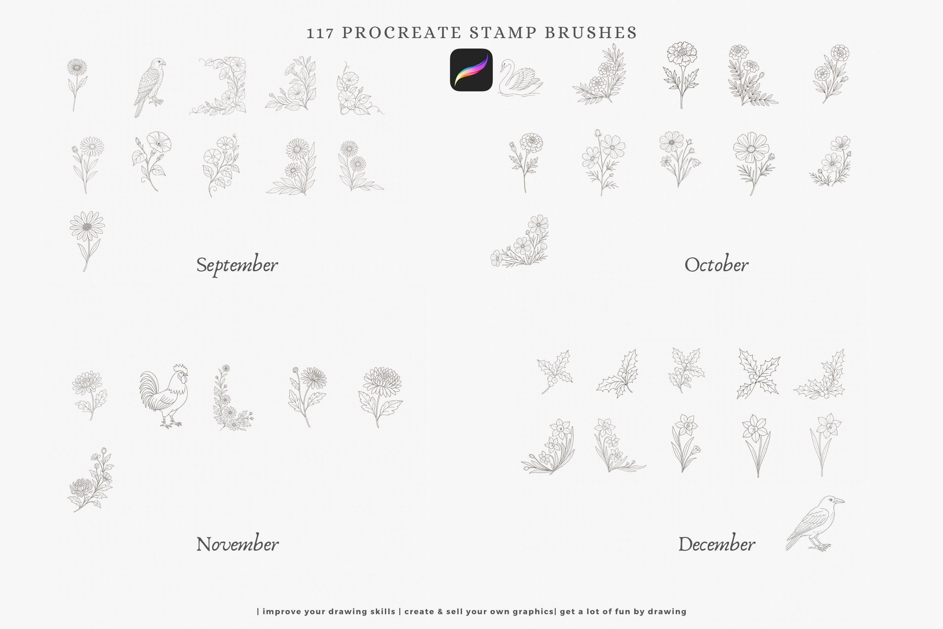 Birth Month Flowers and Birds Procreate Stamps, Floral Outline Brush ...