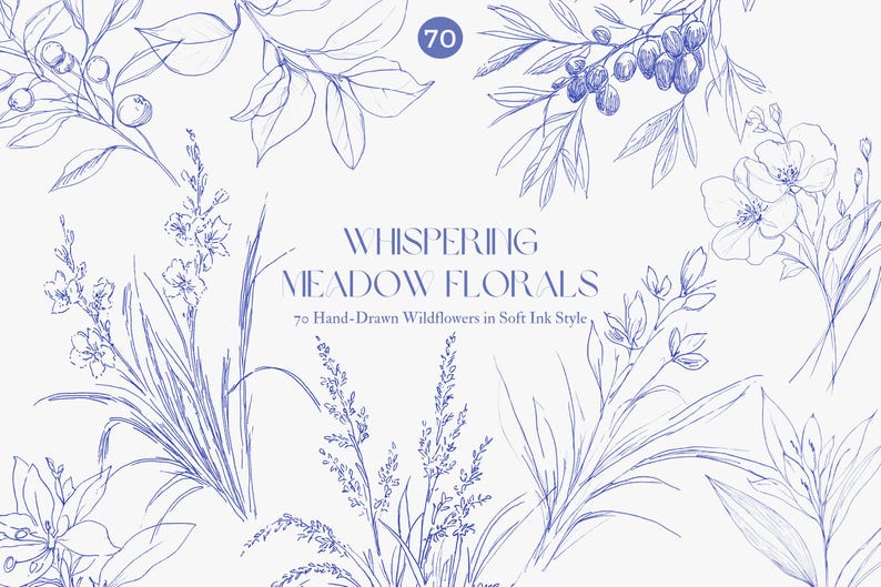 Puede incluir: Ilustraci&oacute;n digital con dibujos lineales azules de varias flores silvestres y follaje. El texto "Whispering Meadow Florals" y "70 Flores silvestres dibujadas a mano en estilo de tinta suave" est&aacute;n presentes. La imagen tiene una est&eacute;tica limpia y minimalista.