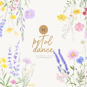 fleurs sauvages - clipart floral - fleurs de prairie pastel - compositions florales - clipart aquarelle - création de cartes de voeux - création de logo png