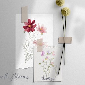 May include: Two watercolor illustrations of flowers on white paper with the text "Birth Blooms" and "thank you" printed below. The illustrations are taped to a light gray background with a pair of dried flowers taped to the right.
