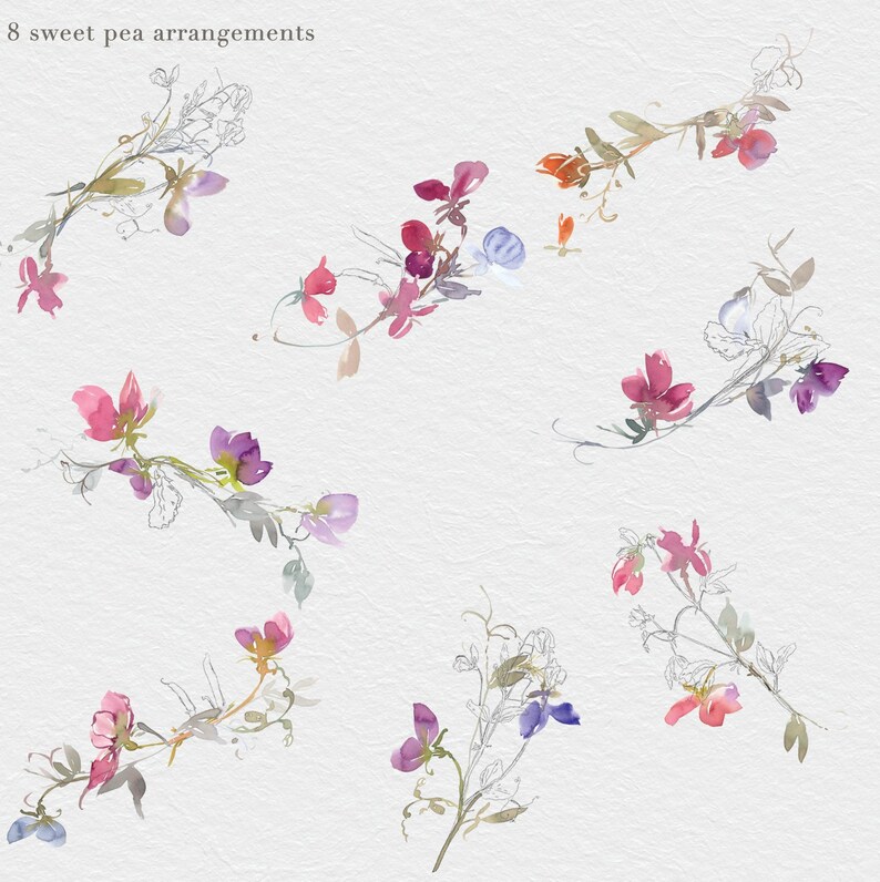 Free Free 340 Sweet Pea Clip Art Svg SVG PNG EPS DXF File