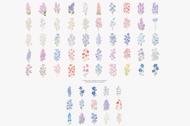 May include: A collection of watercolor floral illustrations in various colors, including pink, purple, blue, and yellow. The image features multiple flower types, with the text "TIMELESS GRAND MILLENNIAL WATERCOLOR FLORALS" at the bottom.