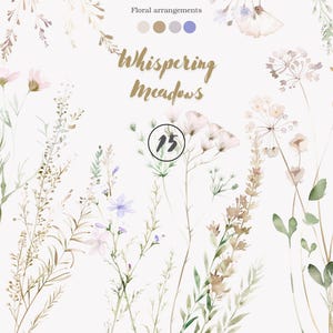 clipart de fleurs sauvages - illustration botanique - composition florale - aquarelles - fleurs vintage - fleurs des prés - fleurs séchées png