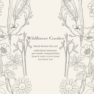 Line Art Wildflower Clipart Collection, Esquisse botanique, Fleurs de terrain dessinées à la main, Fleurs de prairie, Dessins de fleurs sauvages à contour, PNG