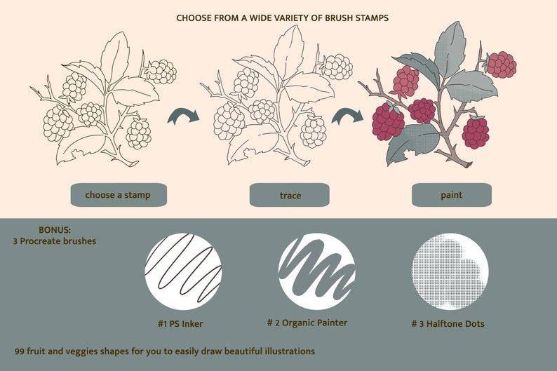 Fruit & Veggies- Procreate Brushes - Garden Brush Kit Fruit Stamps ...