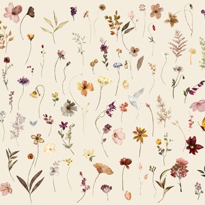 May include: A collection of 118 watercolour illustrations of flowers, leaves, and butterflies. The illustrations are in shades of pink, purple, yellow, orange, and brown. The illustrations are perfect for creating digital or physical crafts.