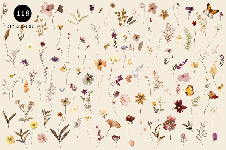 May include: A collection of 118 watercolour illustrations of flowers, leaves, and butterflies. The illustrations are in shades of pink, purple, yellow, orange, and brown. The illustrations are perfect for creating digital or physical crafts.