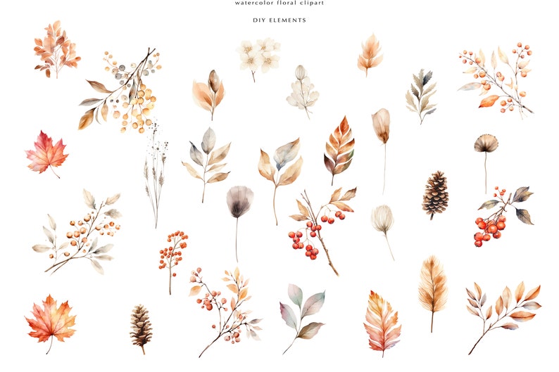 May include: Watercolor floral clipart featuring autumn leaves, berries, branches, and pine cones in shades of brown, orange, red, and white. DIY elements.