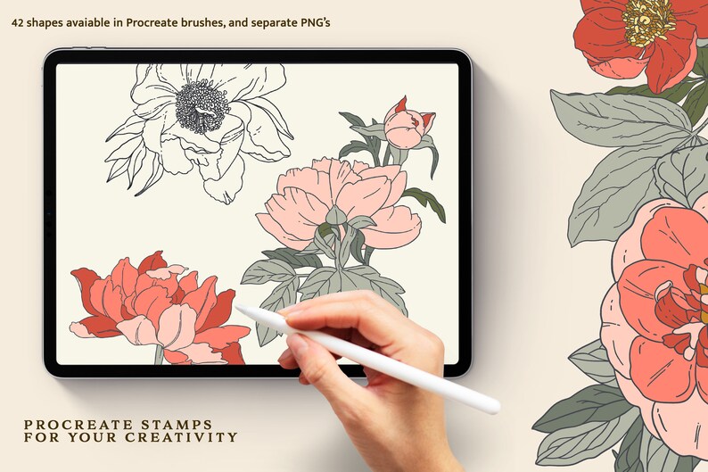Peony Stamps Procreate Brushes - Floral Stamp - Botanical Stamp ...