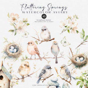 clipart de pássaros em aquarela - clipart de pássaros - clipart de primavera - clipart de animais em aquarela - downloads para fazer cartões - álbum de recortes - diário indesejado