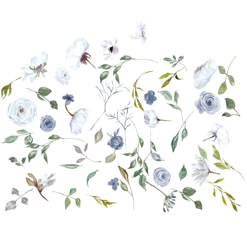 May include: Watercolor illustration of blue and white flowers and leaves. The flowers are in various stages of bloom, with some fully open and others still in bud. The leaves are a variety of shades of green.