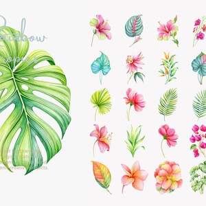 May include: A collection of watercolor illustrations featuring a large green monstera leaf with the text Rainbow Tropics, accompanied by a grid of various tropical flowers and foliage in shades of pink, orange, yellow, and green.