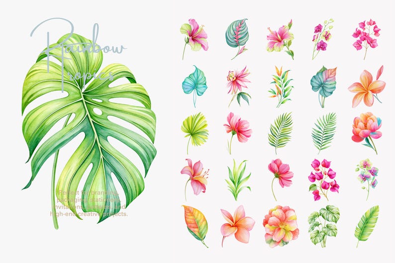 May include: A collection of watercolor illustrations featuring a large green monstera leaf with the text Rainbow Tropics, accompanied by a grid of various tropical flowers and foliage in shades of pink, orange, yellow, and green.