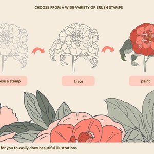 Peony Stamps Procreate Brushes - Floral Stamp - Botanical Stamp ...