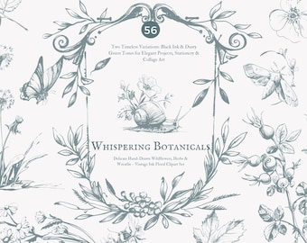 vintage clipart – ink illustration – floral engraving – botanical sketch – herb drawing – journal elements – wreath clipart – florals png