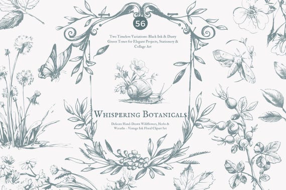 vintage clipart – ink illustration – floral engraving – botanical sketch – herb drawing – journal elements – wreath clipart – florals png