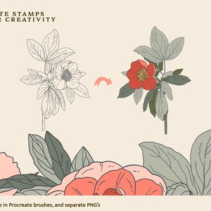 Peony Stamps Procreate Brushes - Floral Stamp - Botanical Stamp ...