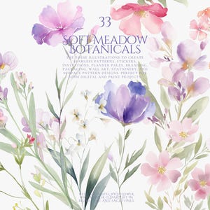 Puede incluir: Ilustración en acuarela de suaves botánicos de pradera en tonos rosa, morado y verde. La imagen presenta varias flores y follaje, con el texto "33 SOFT MEADOW BOTANICALS". Perfecto para proyectos digitales e impresos.