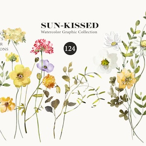 flores de pradera - flores bañadas por el sol - clipart floral - flores de acuarela - acentos rústicos - papelería de boda - manualidades digitales - marca
