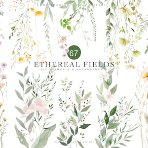 fleurs sauvages - clipart floral - fleurs de prairie pastel - éléments de bricolage - minimaliste - clipart aquarelle - création de cartes de voeux - création de logo
