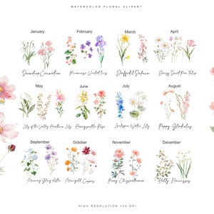 May include: Watercolor floral clipart featuring a different flower for each month of the year. The flowers are painted in a realistic style with delicate details. The flowers are arranged in a grid with the month name and flower name below each image.