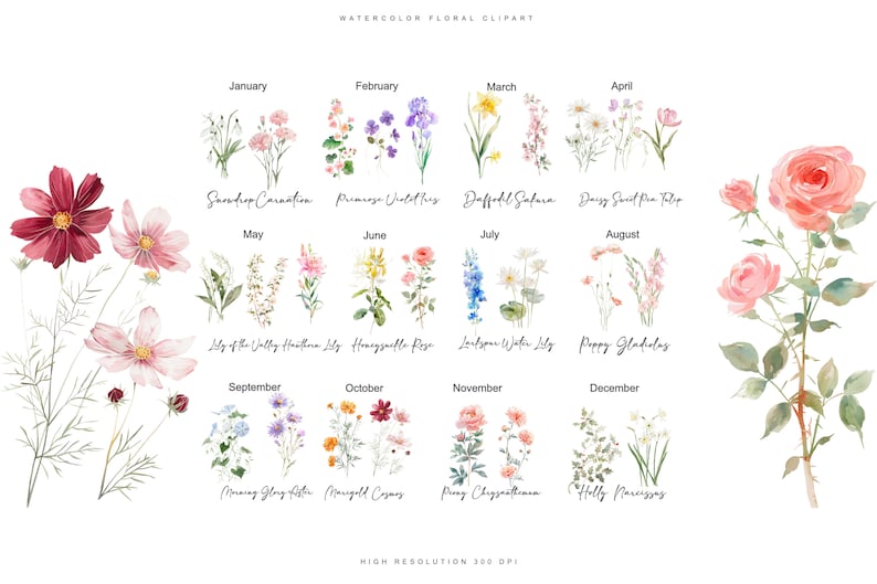 May include: Watercolor floral clipart featuring a different flower for each month of the year. The flowers are painted in a realistic style with delicate details. The flowers are arranged in a grid with the month name and flower name below each image.