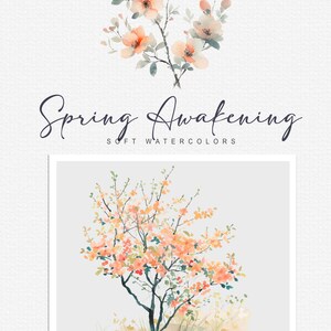 Aquarell Frühling Clipart Frühling Landschaften Frühlingskunst Frühlingsfeld Frühling Tier Aquarell Vogel Frühling Land Clipart png Bild 8