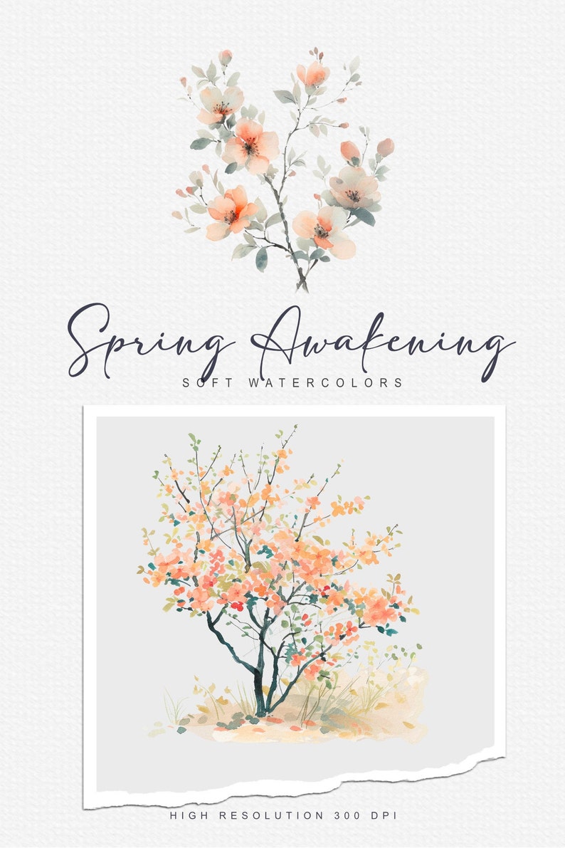 Aquarell Frühling Clipart Frühling Landschaften Frühlingskunst Frühlingsfeld Frühling Tier Aquarell Vogel Frühling Land Clipart png Bild 8