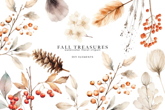 watercolor autumn clipart - fall clipart - watercolor digital clipart - fall leaves - minimalist botanical elements - elegant blooms png