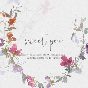 winzige Blumen Clipart - zarte Aquarell Clipart - Wicke Clipart - subtile Blumen - nahtlose Muster - Blumenkränze - Sommer Bordüre