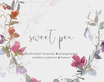 Tiny Flowers Delicate Watercolor Clipart Sweet Pea - Etsy New Zealand Tiny Flowers Delicate Watercolor Clipart Sweet Pea - Etsy New Zealand