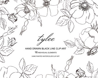 Hand Drawn Fine Line Clipart, Wild Roses, Separate Elements ,Scrapbooking, Fine Line Roses, Sketched Flowers, Sketched Roses, Wild Rose PNG