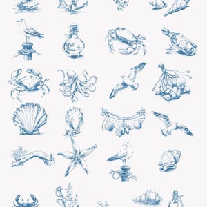May include: A collection of 20 hand-drawn illustrations in blue ink featuring nautical and beach themes. The illustrations include a crab, a seagull, a starfish, a seashell, an anchor, a bottle, a net, and a driftwood piece.