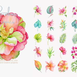 tropical flower clipart bundle, rainbow botanical png, exotic floral illustrations, tropical leaves, island flower graphics image 6