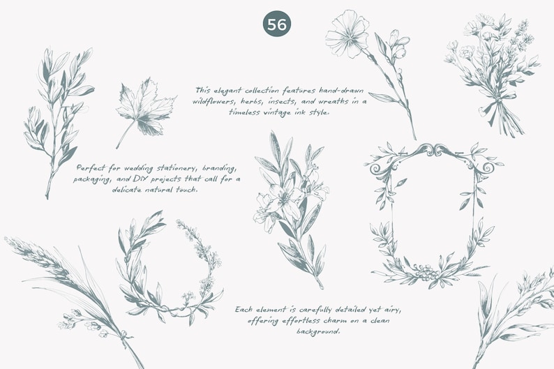 May include: A collection of hand-drawn botanical illustrations featuring wildflowers, herbs, insects, and wreaths in a vintage ink style. The illustrations are perfect for wedding stationery, branding, packaging, and DIY projects.