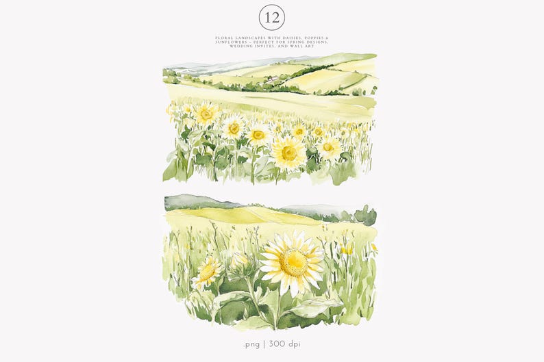 May include: Watercolor painting of a field of sunflowers in a rural landscape. The sunflowers are yellow and green, and the field is surrounded by rolling hills. The painting is in a soft, muted color palette.