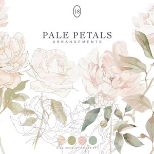 Clipart di fiori pallidi dell'acquerello - peonia bianca - clipart di matrimonio - clipart floreale - fiori dell'acquerello - cornice estiva - fiori abbozzati png