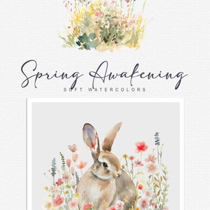 Aquarell Frühling Clipart Frühling Landschaften Frühlingskunst Frühlingsfeld Frühling Tier Aquarell Vogel Frühling Land Clipart png Bild 6