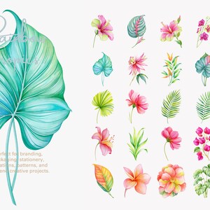 May include: A collection of watercolor illustrations featuring a large teal and green tropical leaf on the left, accompanied by a grid of various colorful tropical flowers and foliage elements including pink, orange, and green botanical designs.
