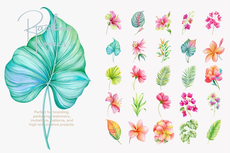 May include: A collection of watercolor illustrations featuring a large teal and green tropical leaf on the left, accompanied by a grid of various colorful tropical flowers and foliage elements including pink, orange, and green botanical designs.