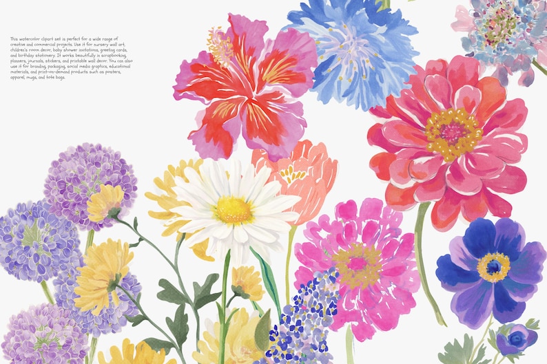 May include: Watercolor floral clipart set featuring a variety of colorful flowers. The image includes a red hibiscus, pink zinnias, white daisies, and purple alliums. The flowers are painted in vibrant hues against a white background.