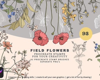 Pędzle procreate - stempel z dzikimi kwiatami - stempel z ziołami - stempel botaniczny - stemple z kwiatami łąkowymi - łatwy rysunek - pędzle z kwiatami polnymi png
