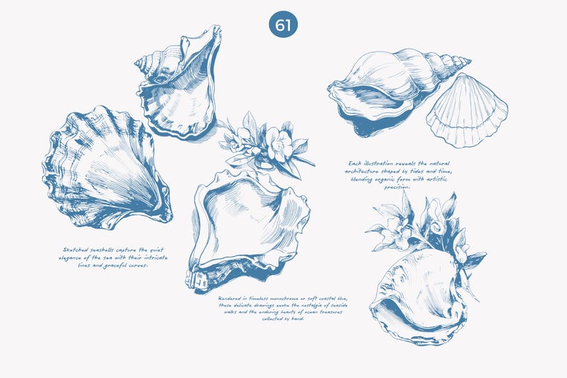 May include: A set of five detailed illustrations of seashells in blue ink. Each illustration depicts the intricate details of the shells, including their texture and shape. The illustrations are surrounded by text about the natural architecture of seashells.