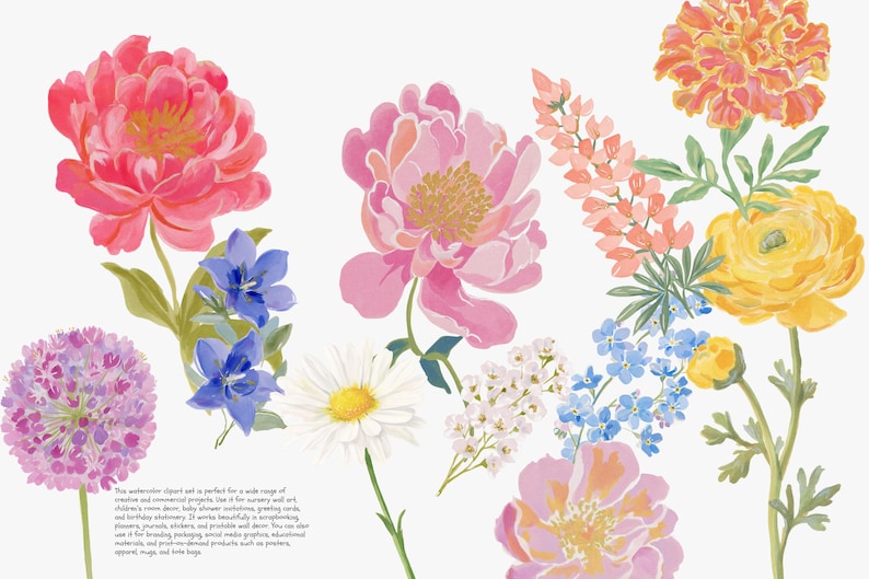 May include: Watercolor floral clipart set featuring a variety of flowers in shades of pink, red, yellow, and blue. Includes peonies, daisies, and other blooms with green stems and leaves. Perfect for various creative projects.