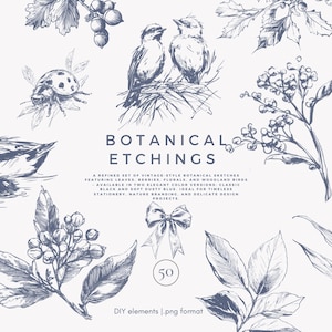 clipart botanique - illustration vintage - gravure florale - graphiques PNG - dessin des bois - croquis de la nature - contour bleu - lot de jardin